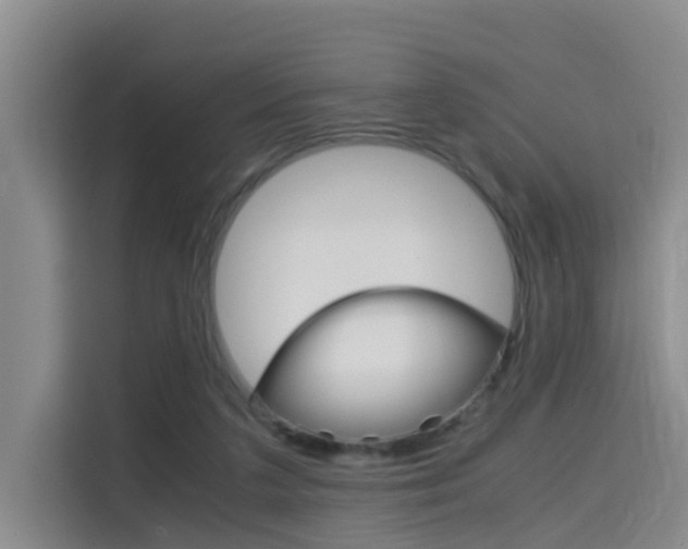 X0000115700211200911191236