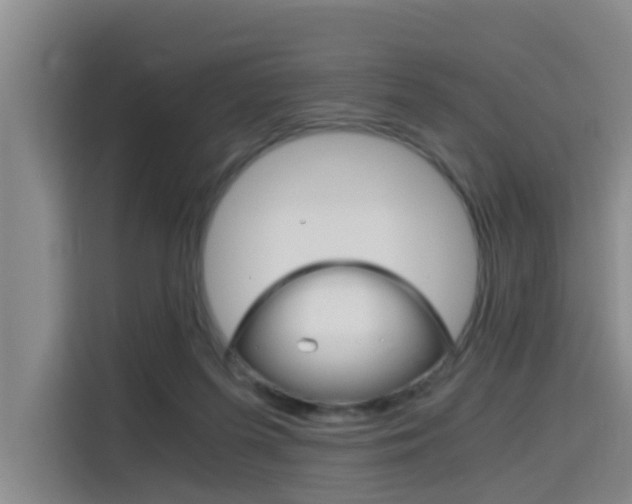 X0000115700215200911191236