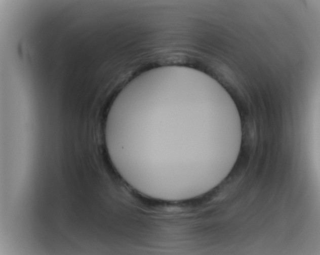 X0000115700224200911191236