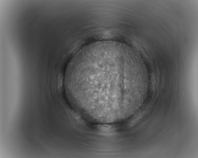 X0000115700230200911191236