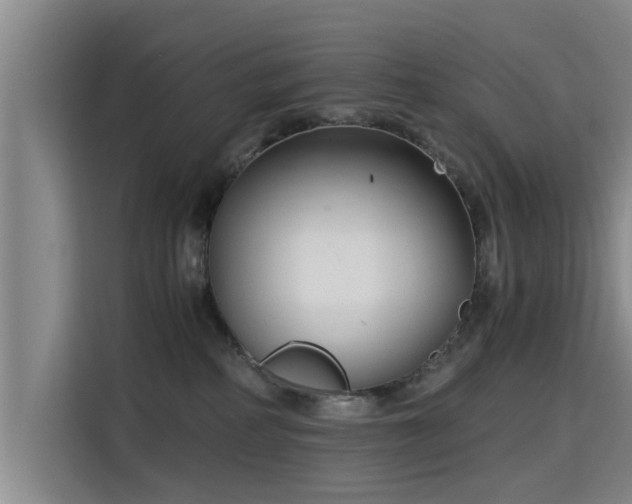 X0000115700234200911191236