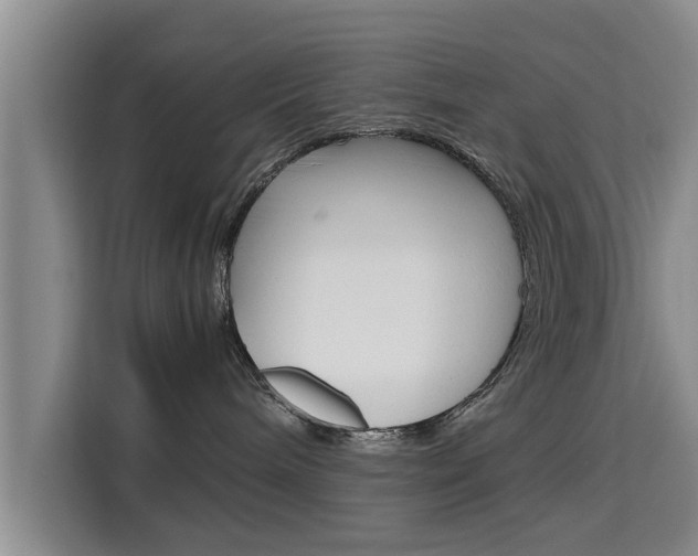 X0000115700240200911191235