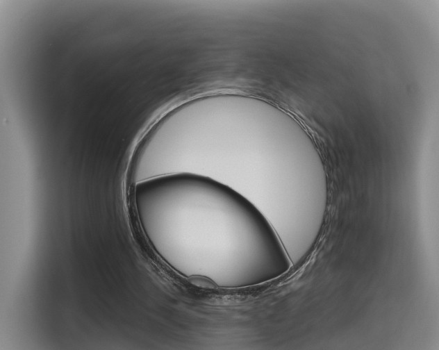 X0000115700244200911191235