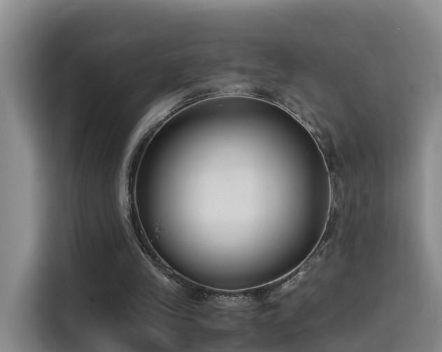 X0000115700245200911191235