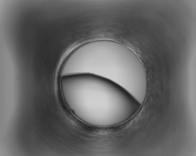 X0000115700248200911191235