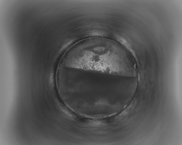 X0000115700249200911191235