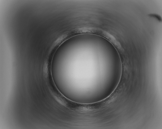 X0000115700250200911191235