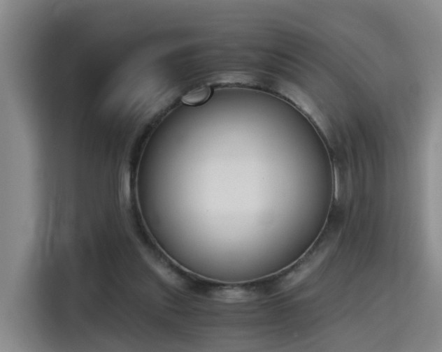 X0000115700253200911191235