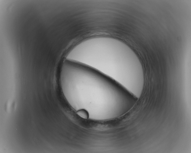 X0000115700256200911191235