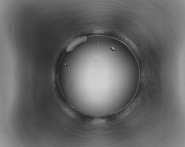 X0000115700257200911191235