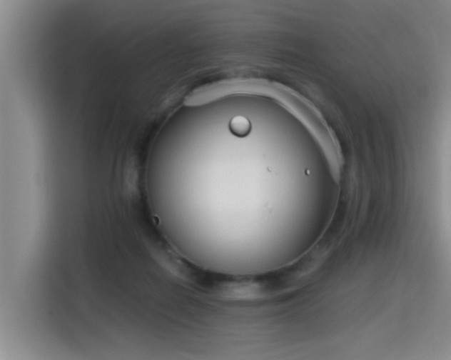 X0000115700266200911191235