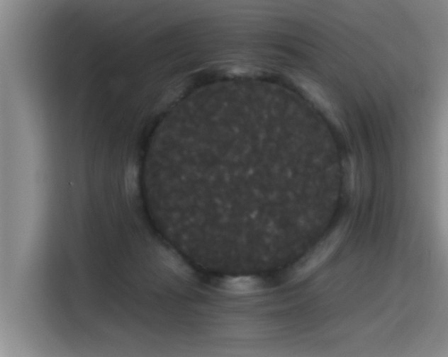 X0000115700269200911191235