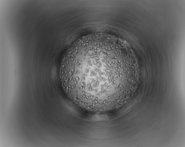 X0000115700270200911191235