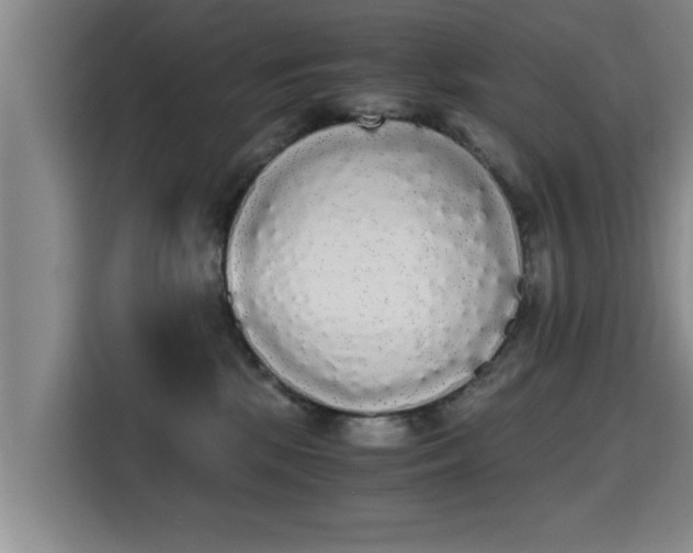 X0000115700281200911191235