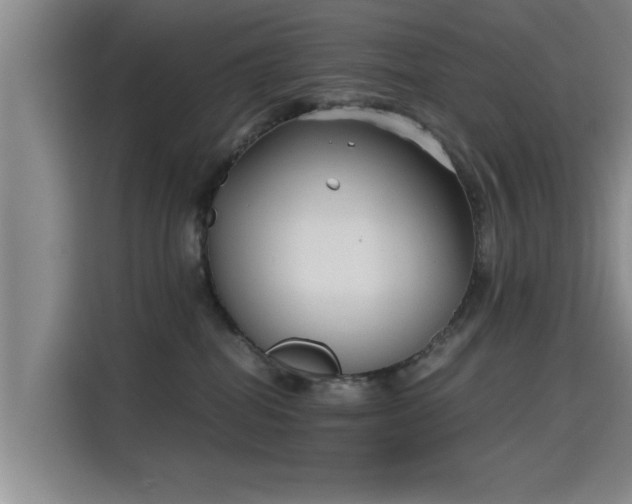 X0000115700282200911191235