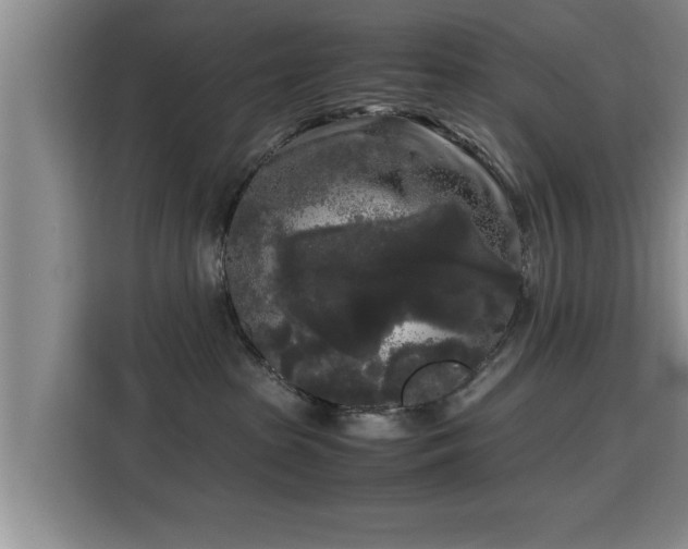 X0000115700285200911191235