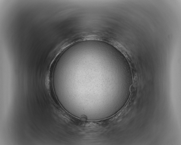 X0000115700290200911191235