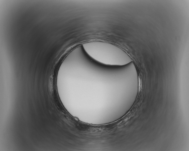 X0000115700291200911191235