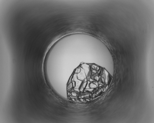 X0000115700292200911191235