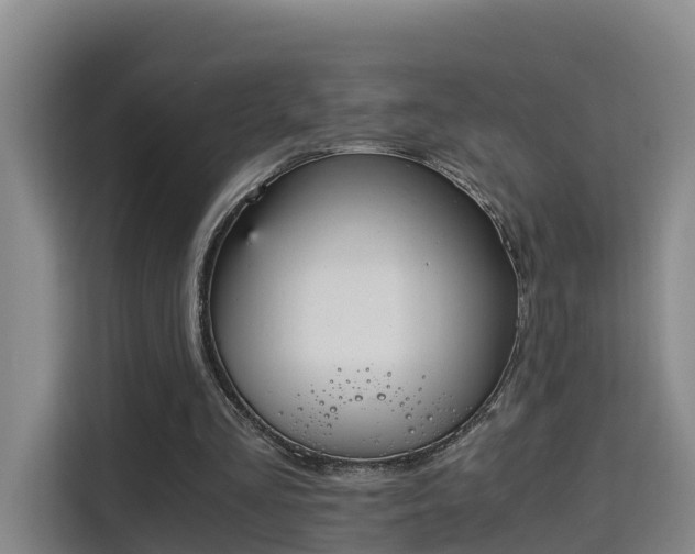 X0000115700293200911191235