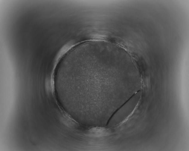 X0000115700294200911191235