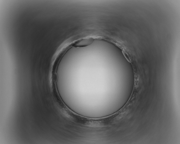 X0000115700296200911191235