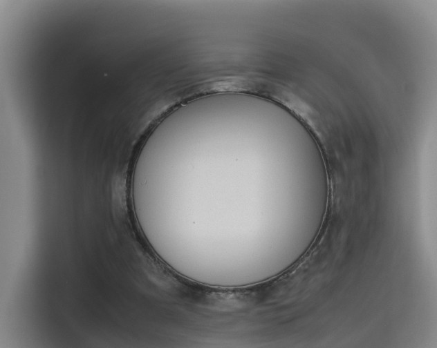 X0000115700297200911191235