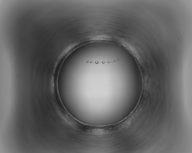 X0000115700298200911191235