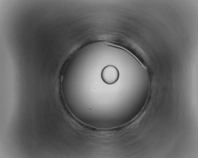 X0000115700305200911191235