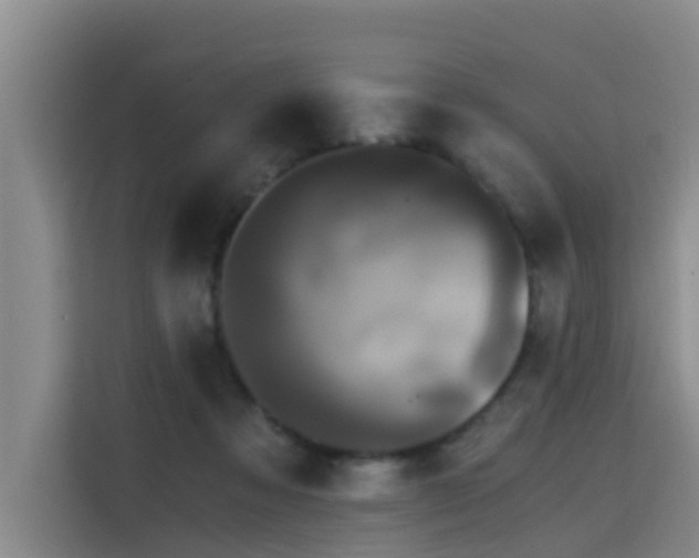 X0000115700313200911191235