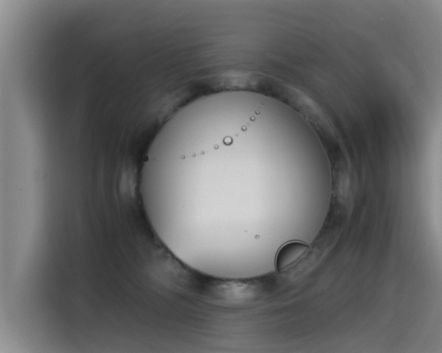 X0000115700326200911191234