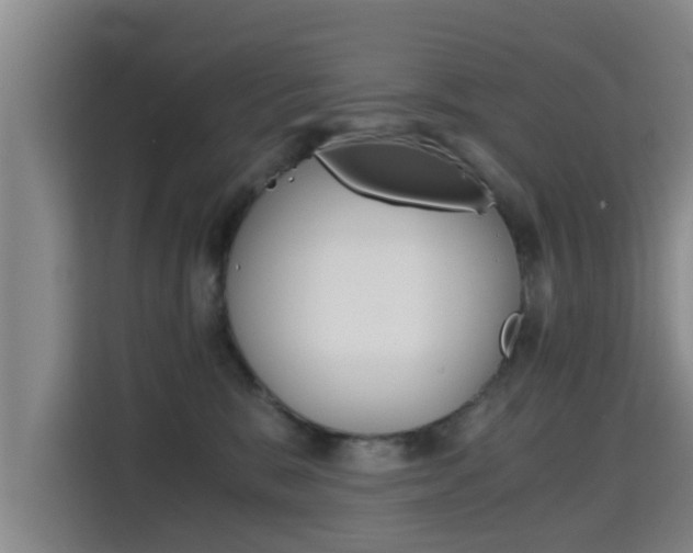 X0000115700327200911191234