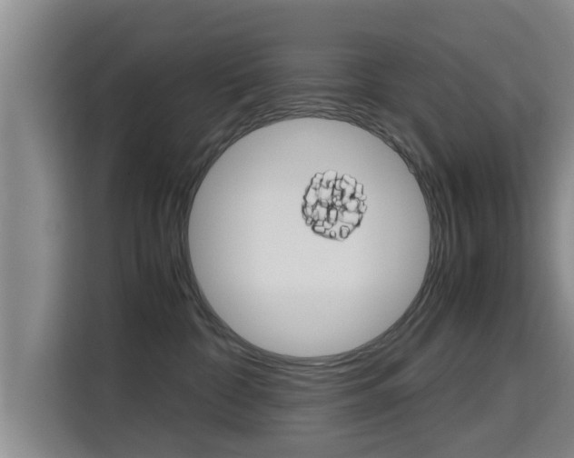 X0000115700332200911191234