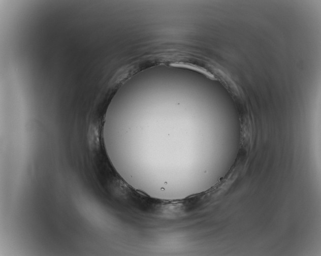 X0000115700333200911191234