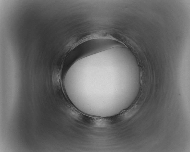 X0000115700336200911191234