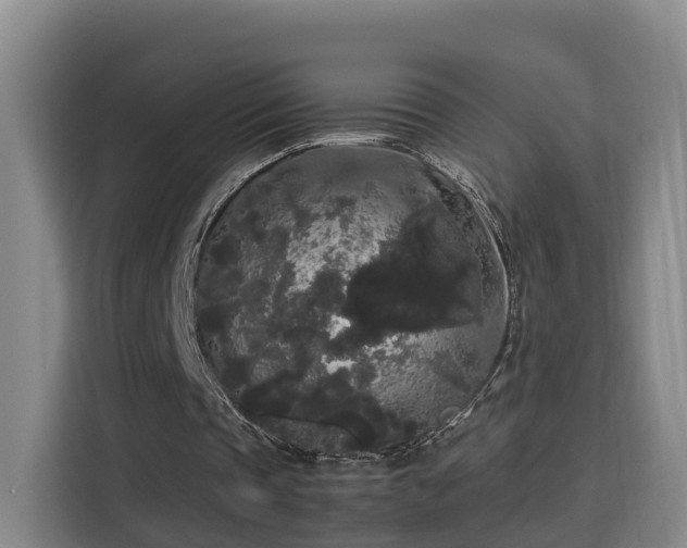 X0000115700337200911191234