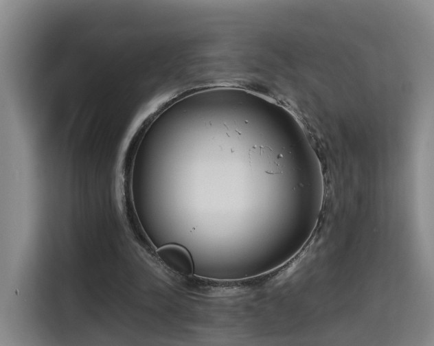 X0000115700342200911191234