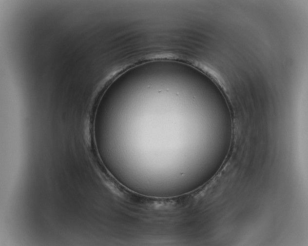 X0000115700345200911191234