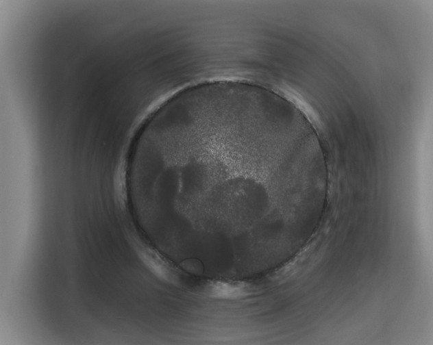 X0000115700346200911191234