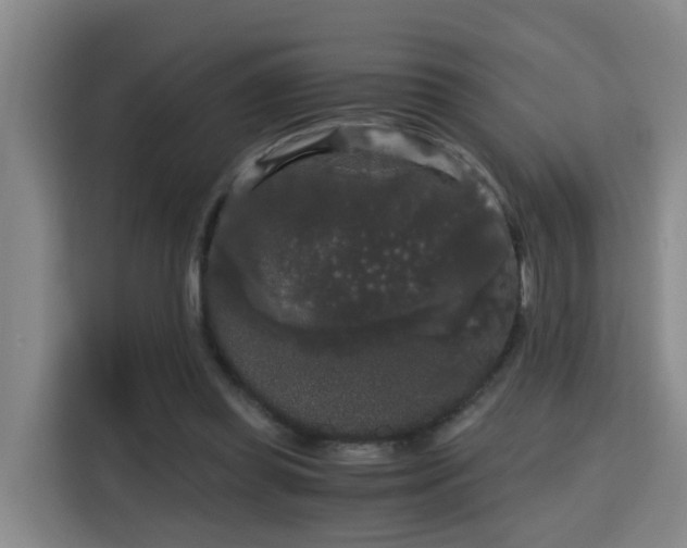 X0000115700349200911191234