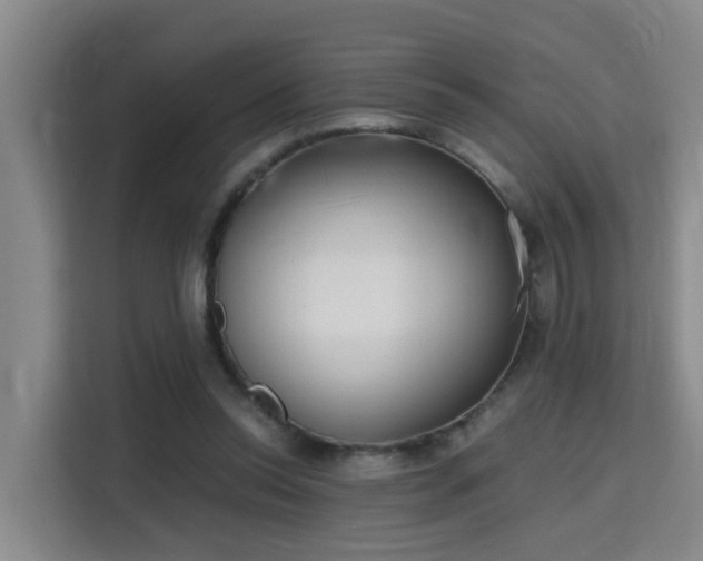 X0000115700350200911191234