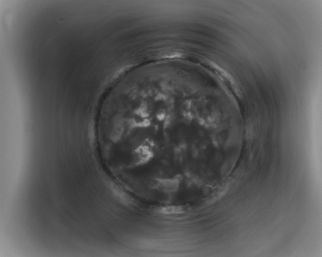 X0000115700353200911191234