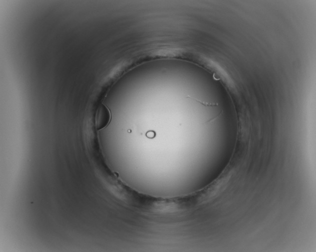 X0000115700354200911191234