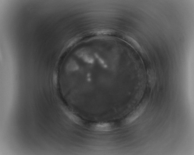 X0000115700357200911191234