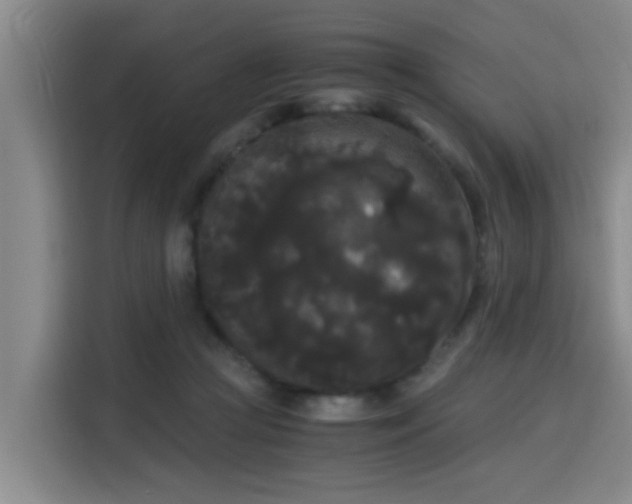 X0000115700361200911191234