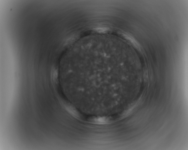 X0000115700365200911191234