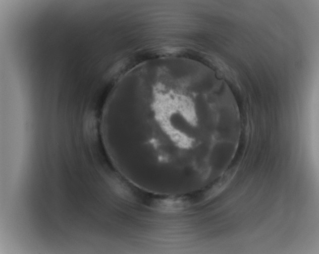 X0000115700366200911191234