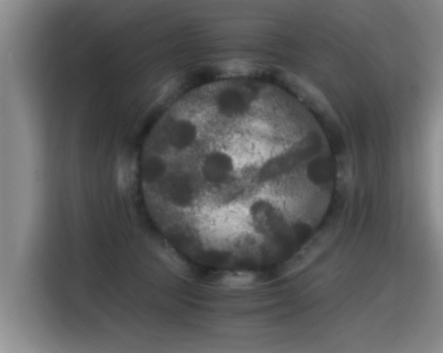 X0000115700369200911191234