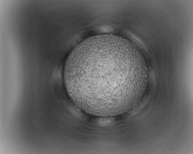 X0000115700373200911191234