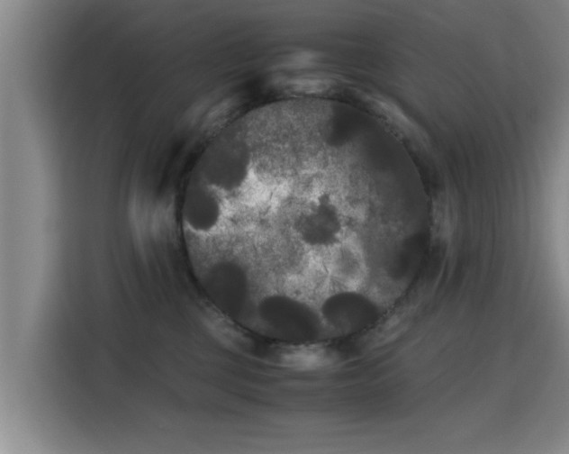 X0000115700377200911191234